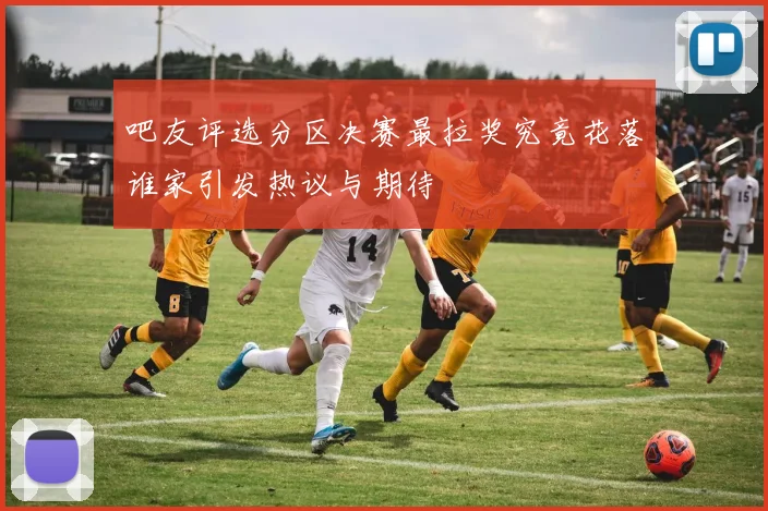 吧友评选分区决赛最拉奖究竟花落谁家引发热议与期待
