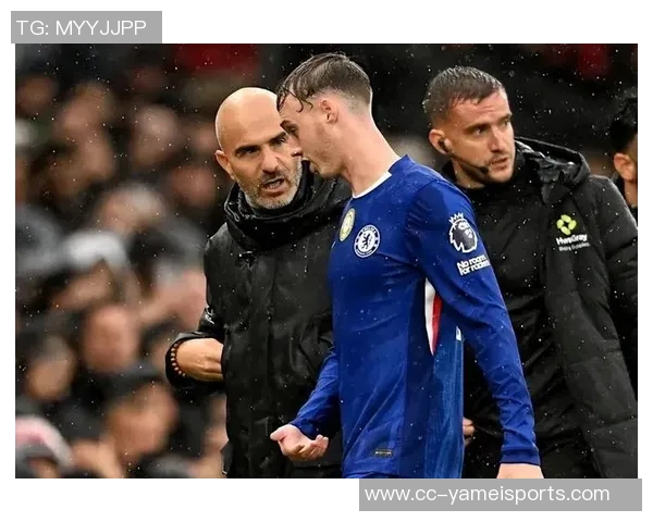 切尔西伤病情况更新九人缺阵帕尔默等六人预计下轮复出